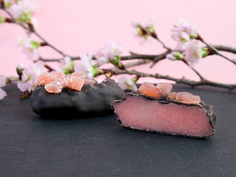 春のミネラル・ショコラ 桜石