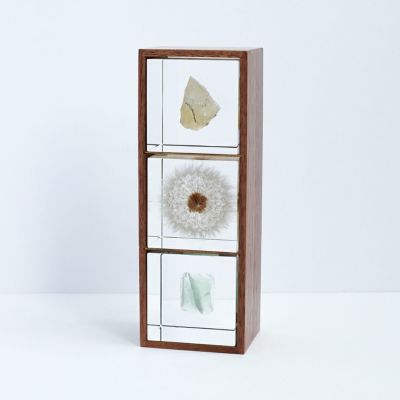 Sola cube 3個・木箱セット (組み合わせフリー) | ウサギノネドコ