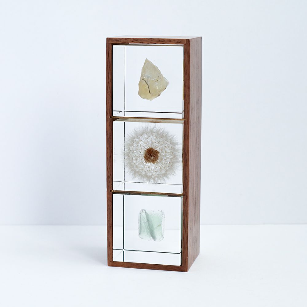 Sola cube 3個・木箱セット (組み合わせフリー) | ウサギノネドコ