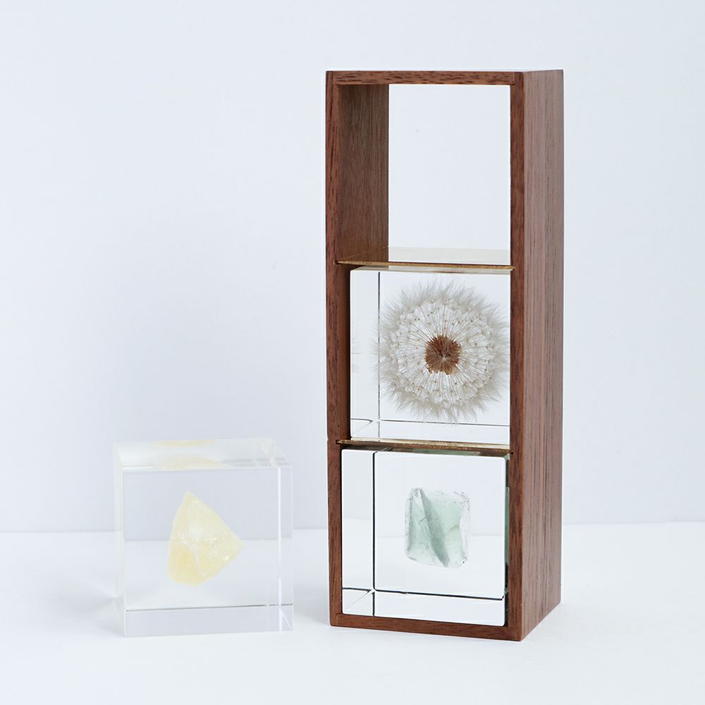 Sola cube 3個・木箱セット (組み合わせフリー) | ウサギノネドコ