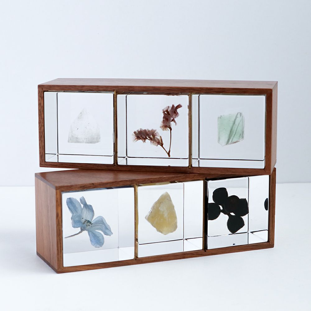 Sola cube 3個・木箱セット (組み合わせフリー) | ウサギノネドコ