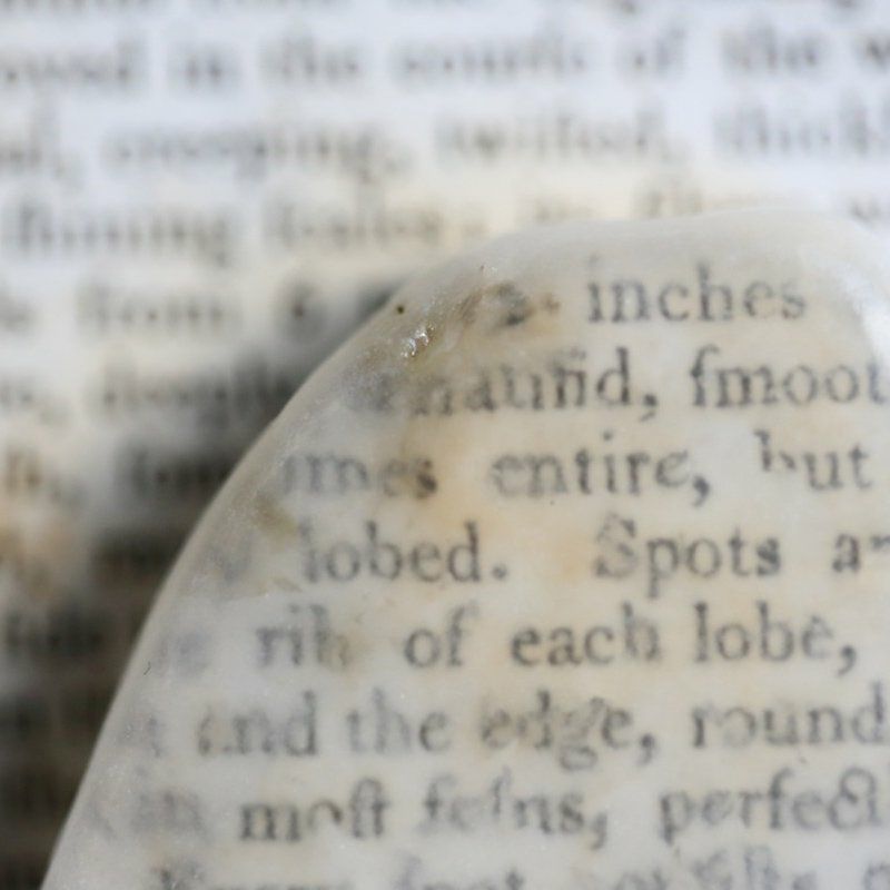 テレビ石 (M) | ウサギノネドコ