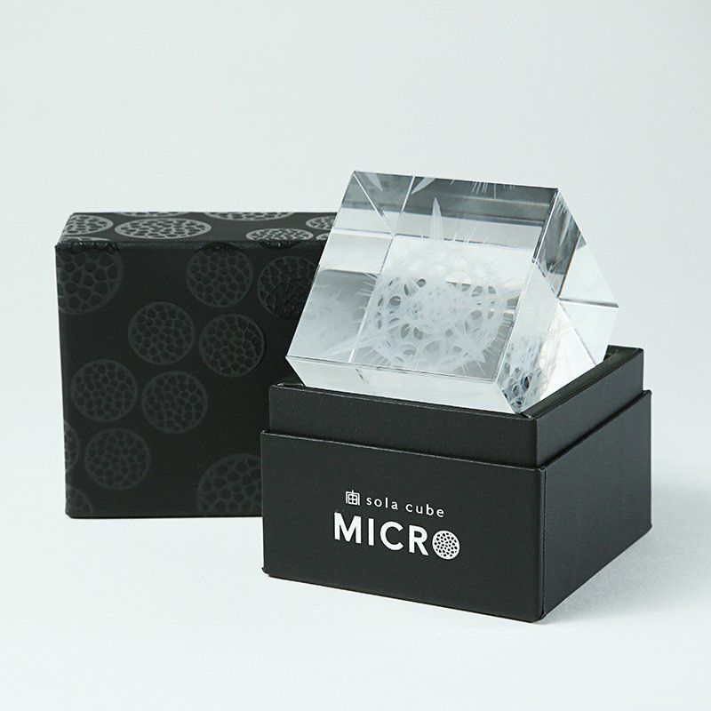 バクテリオファージ T4 | ウサギノネドコ