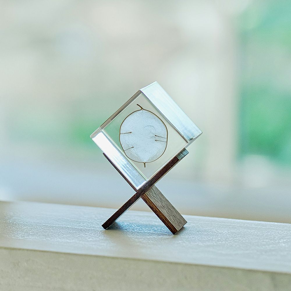 タンポポ (5cm角) | ウサギノネドコ