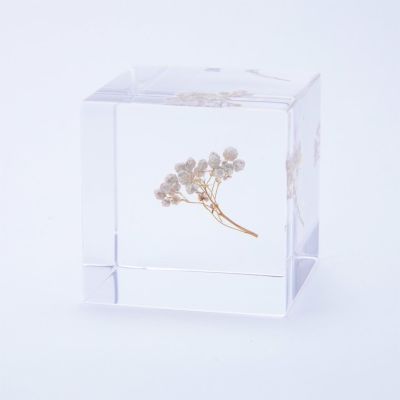 美しいタンポポ 綿毛 アクリル封入 ツヤツヤ オブジェ 大粒 クリアグラス 美しいタンポポ 綿毛 アクリル封入 ツヤツヤ オブジェ 大粒