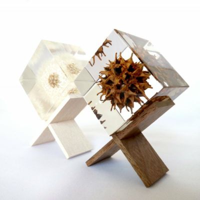 Sola cube + Sola cube Standセット