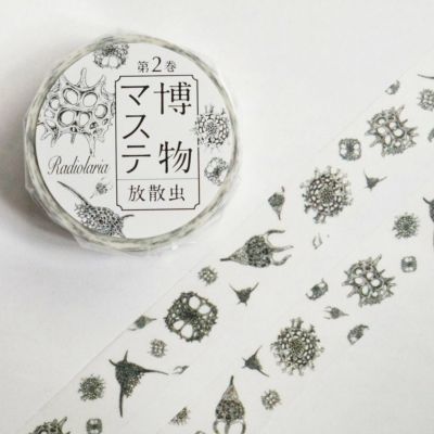 博物マステ 放散虫