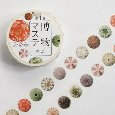 博物マステ ウニ