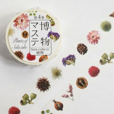 博物マステ Sola cubeの植物