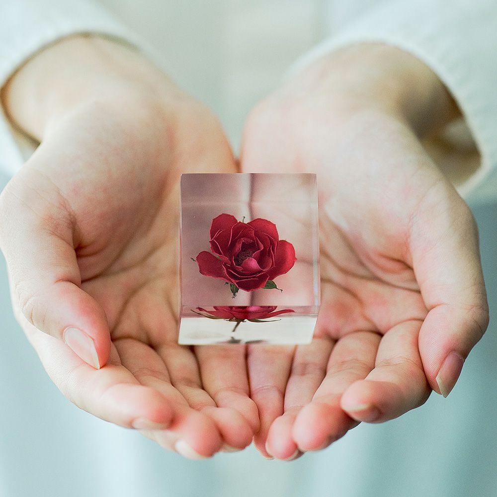 バラ | ウサギノネドコ