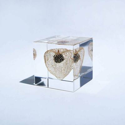 ウサギノネドコ / solar cube 5点セット＆木箱 pierrenicolas.com