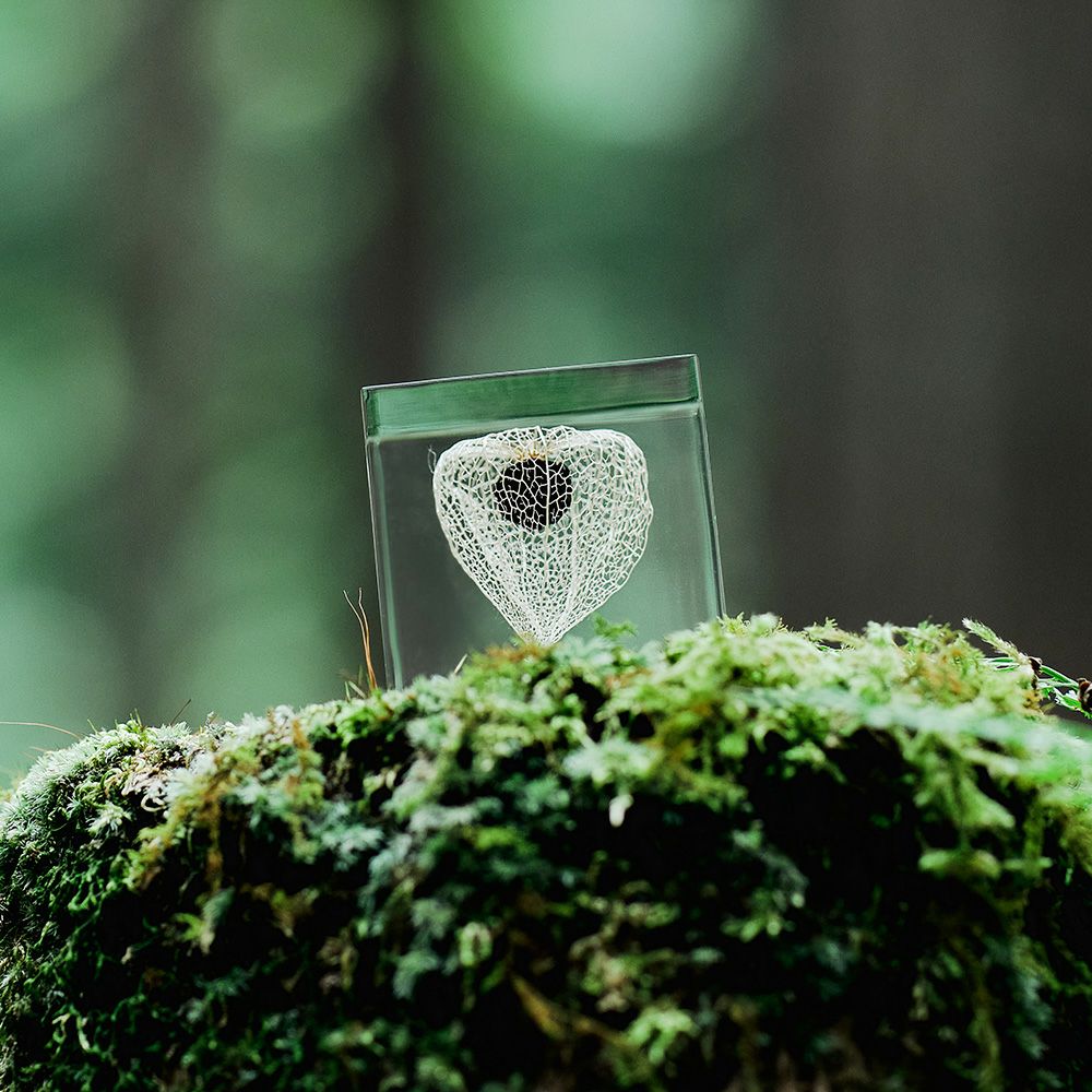 バクテリオファージ T4 | ウサギノネドコ