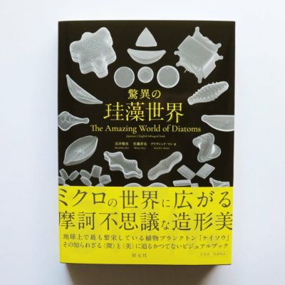 驚異の珪藻世界
