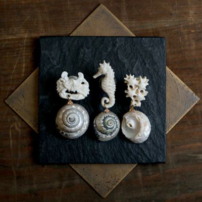 【deer bone 