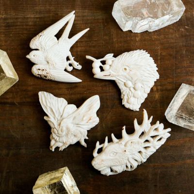 【deer bone 