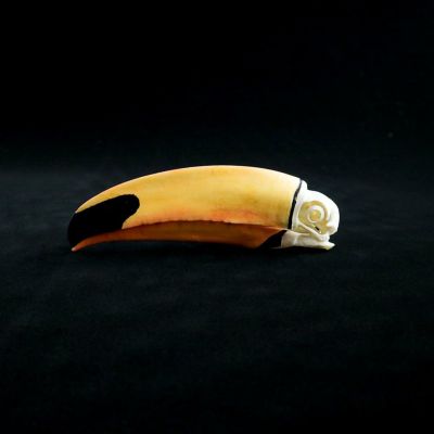 オニオオハシの頭骨標本(レプリカ) | ウサギノネドコ オニオオハシの頭骨標本(レプリカ) | ウサギノネドコ