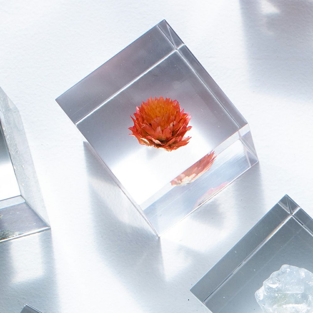 砂漠の薔薇（5cm） | ウサギノネドコ