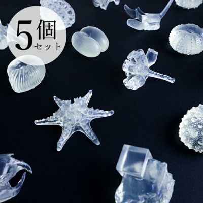【新工芸舎】デジタルアンバー 5個セット