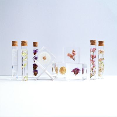 標本ボトル【植物】/ Sola cube セット