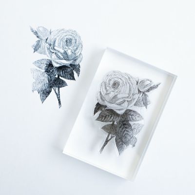 Biology Stamp / アクリル台 セット