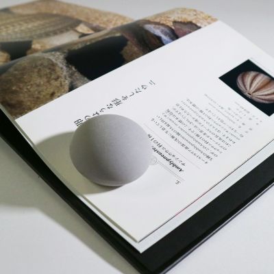 【stone+】ウェイト