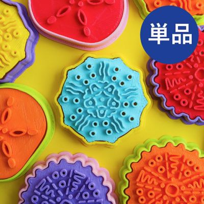 ウニ殻のクッキー型