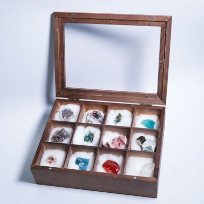 【限定10点】鉱物標本箱セット