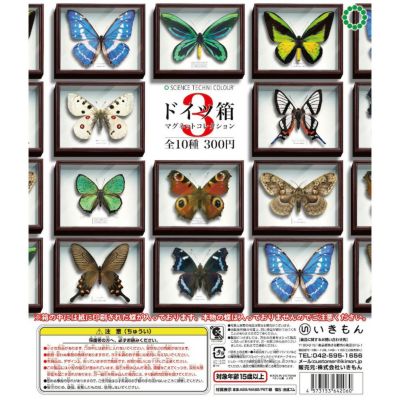 ドイツ箱マグネットコレクション3