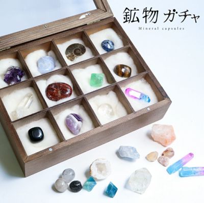 鉱物ガチャ12点&標本箱セット