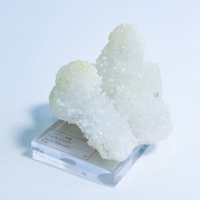 サボテン水晶