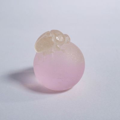 【芝崎由華】ハナバコガネ