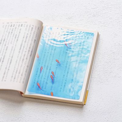 【安堂真季】透明写真栞 C-2