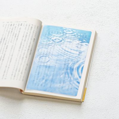 【安堂真季】透明写真栞 G-2