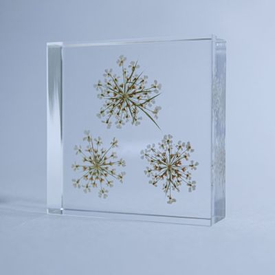 Sola tile レースフラワー