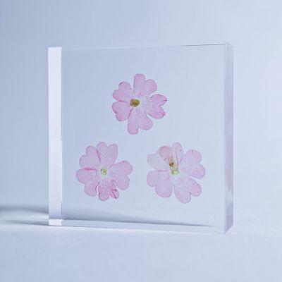 Sola tile バーベナ