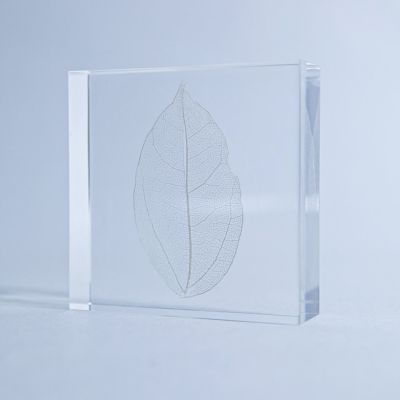 Sola tile 葉脈