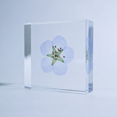 Sola tile ネモフィラ
