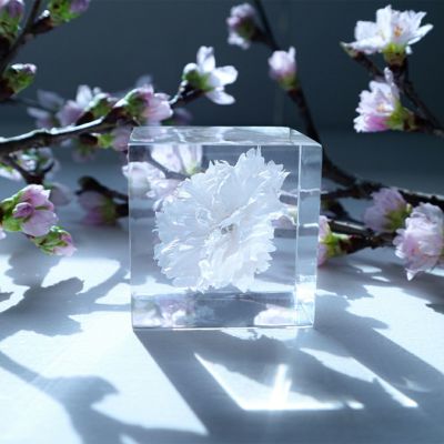 Solarain - 