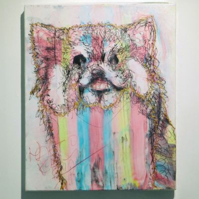 【北村直登】ポジティブなレッサーパンダ