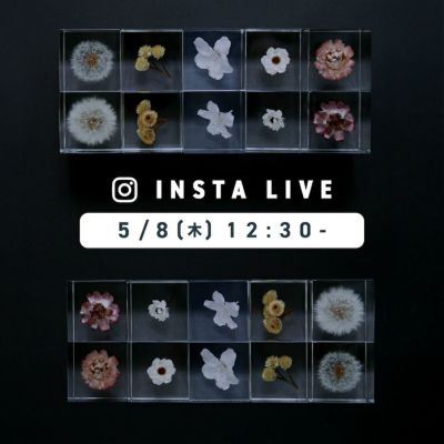 【インスタライブ企画】選べる Sola cube