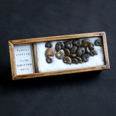 モロッコ産 アメシスト | 鉱物標本,ア行,アメシスト/紫水晶