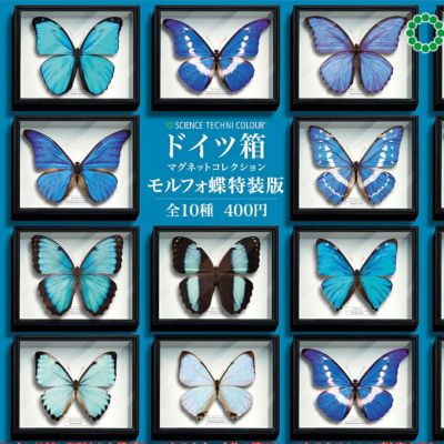 ドイツ箱マグネットコレクション モルフォ蝶特装版